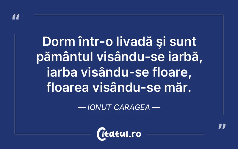 Citat Ionut Caragea - citate motivationale