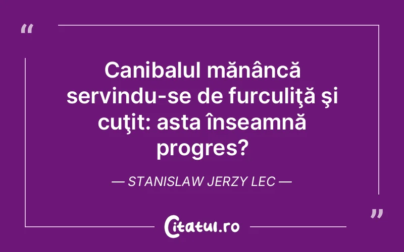 Citat Stanislaw Jerzy Lec - citate motivationale