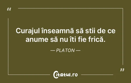 Curajul înseamnă să știi de ce anume... Curajul înseamnă să știi de ce anume...