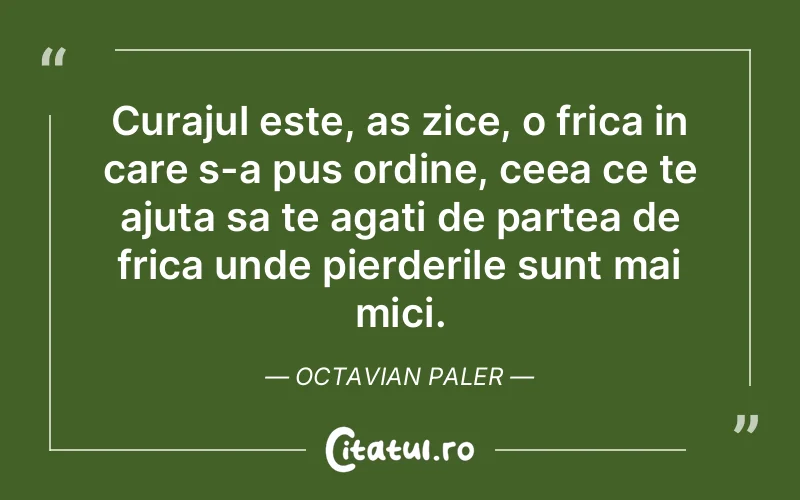 Citat Octavian Paler - citate motivationale