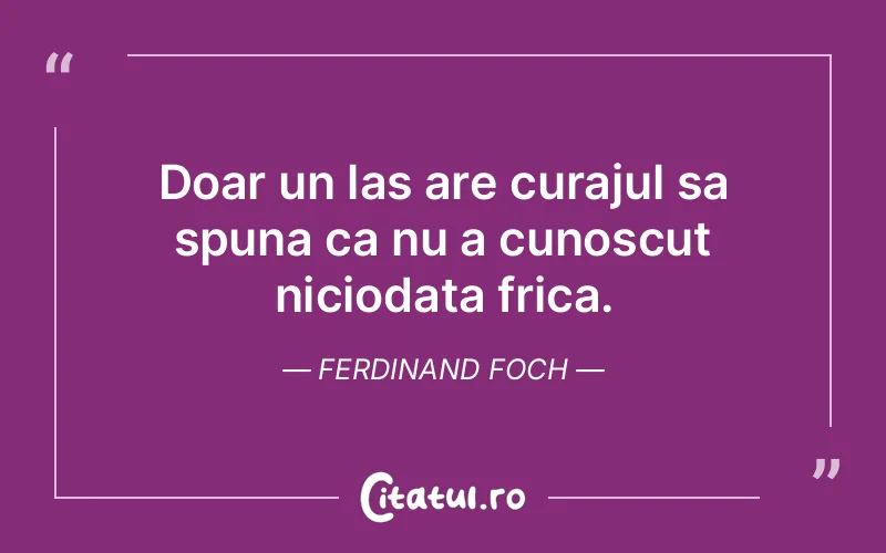 Citat Ferdinand Foch - citate motivationale