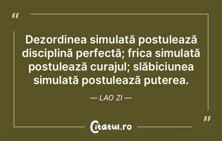 Dezordinea simulată postulează discipl... Dezordinea simulată postulează discipl...