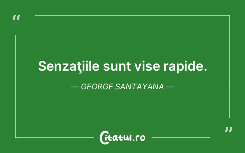 Citat George Santayana - citate motivationale