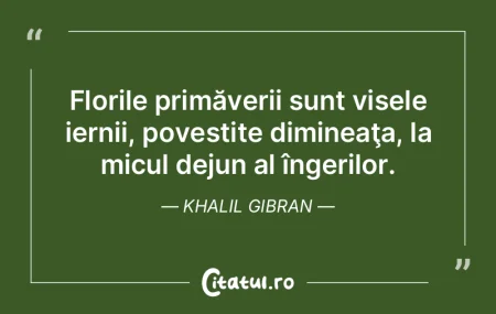 Florile primăverii sunt visele iernii, ... Florile primăverii sunt visele iernii, ...