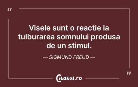 Visele sunt o reacție la tulburarea som...