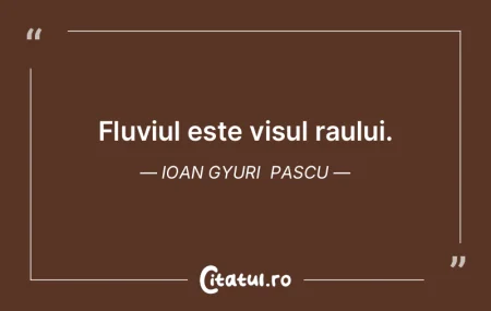 Fluviul este visul raului. Ioan Gyuri P... Fluviul este visul raului. Ioan Gyuri P...