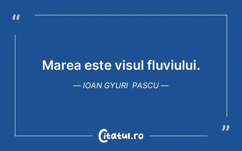 Citat Ioan Gyuri Pascu - citate motivationale