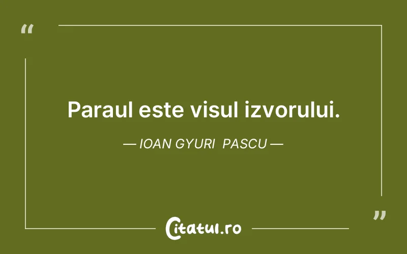 Citat Ioan Gyuri Pascu - citate motivationale