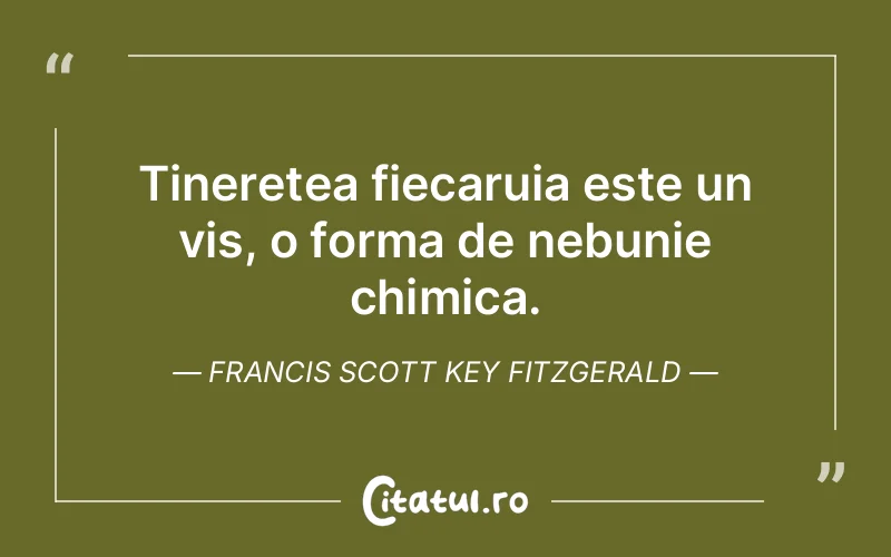 Citat Francis Scott Key Fitzgerald - citate motivationale