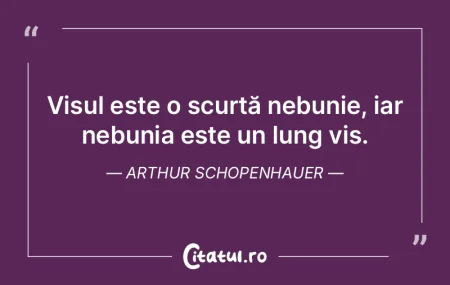 Visul este o scurtă nebunie, iar nebuni... Visul este o scurtă nebunie, iar nebuni...