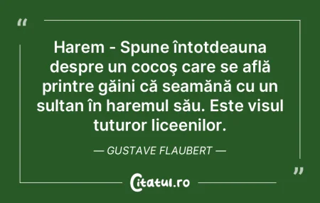 Harem - Spune întotdeauna despre un coc... Harem - Spune întotdeauna despre un coc...