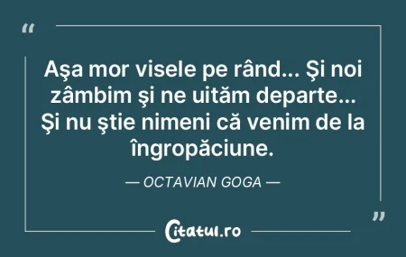 Aşa mor visele pe rând... Şi noi zâm...