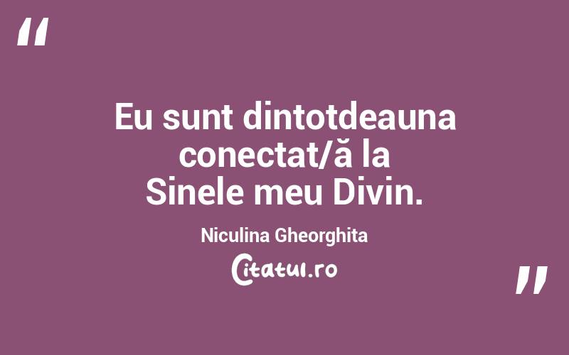 Eu sunt dintotdeauna conectat/ă la Sinele meu Divin. Niculina Gheorghita