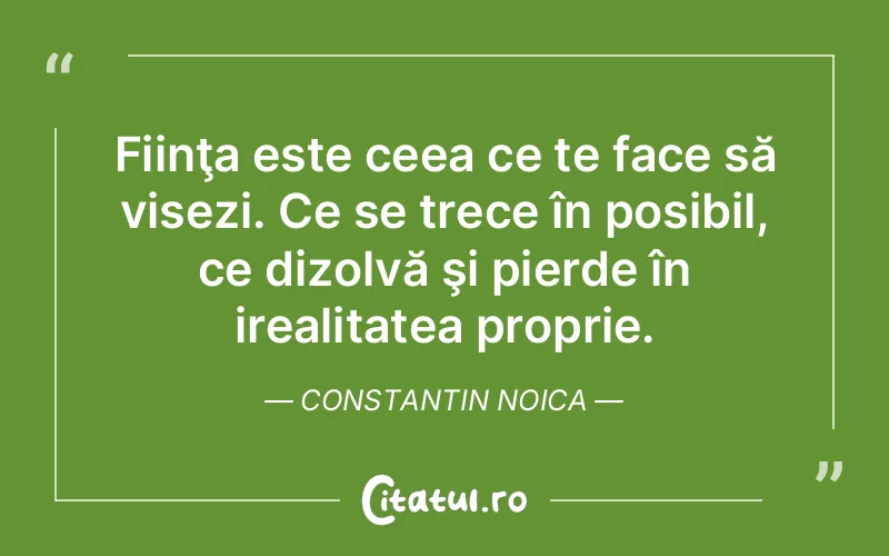 Citat Constantin Noica - citate motivationale