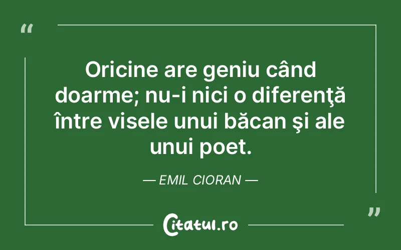 Citat Emil Cioran - citate motivationale