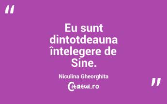 Eu sunt dintotdeauna înțelegere de Sine. Niculina Gheorghita...
