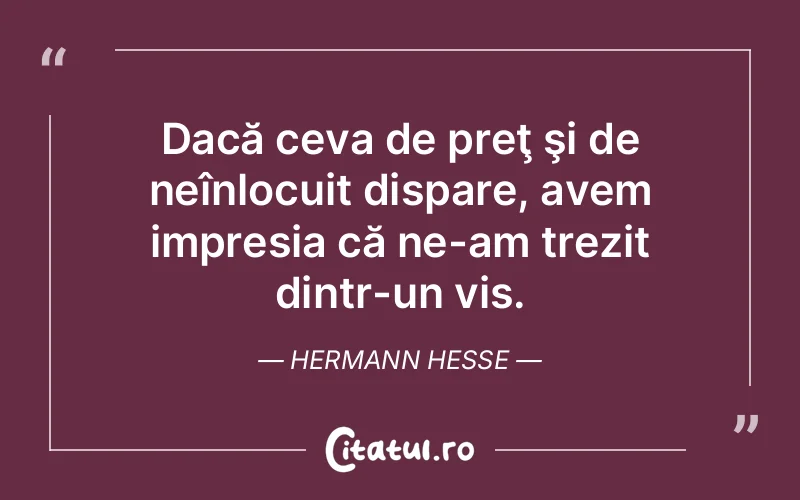 Citat Hermann Hesse - citate motivationale