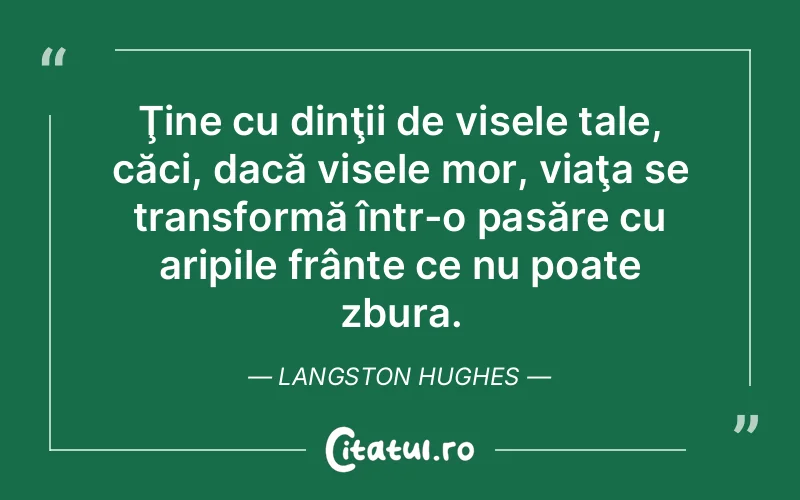 Citat Langston Hughes - citate motivationale