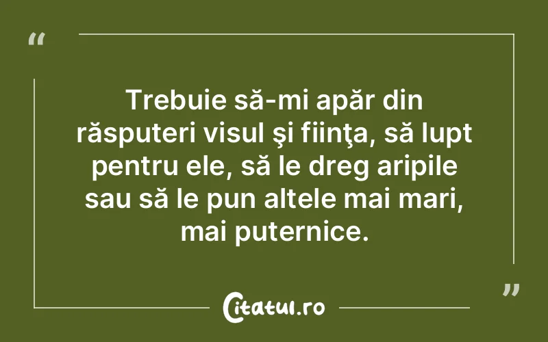 Citat Autor necunoscut - citate motivationale