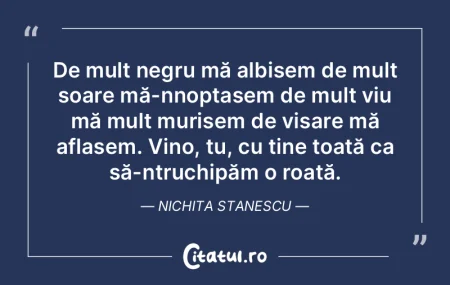 De mult negru mă albisem de mult soare ...
