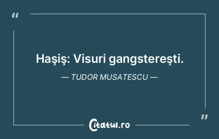 Haşiş: Visuri gangstereşti. Tudor Mus...