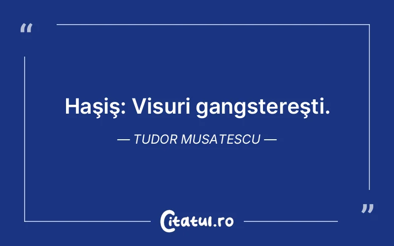 Citat Tudor Musatescu - citate motivationale