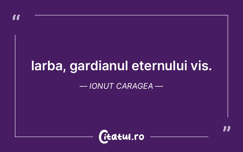 Citat Ionut Caragea - citate motivationale