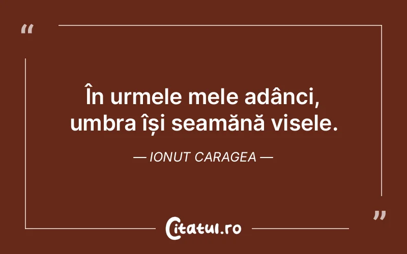Citat Ionut Caragea - citate motivationale