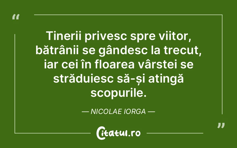 Citat Nicolae Iorga - citate motivationale