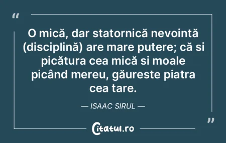 O mică, dar statornică nevoință (dis...