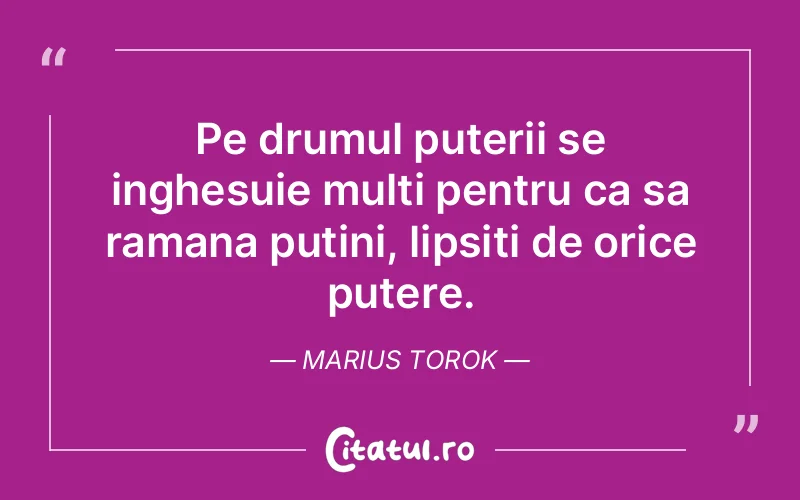 Citat Marius Torok - citate motivationale