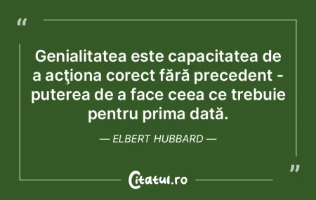 Genialitatea este capacitatea de a acţi... Genialitatea este capacitatea de a acţi...