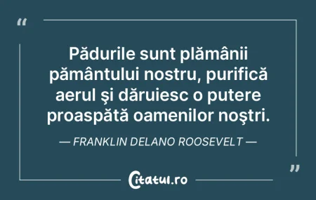 Pădurile sunt plămânii pământului n... Pădurile sunt plămânii pământului n...