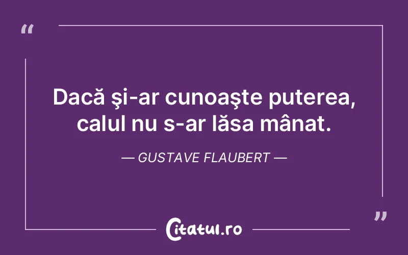 Citat Gustave Flaubert - citate motivationale