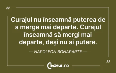Curajul nu înseamnă puterea de a merge... Curajul nu înseamnă puterea de a merge...