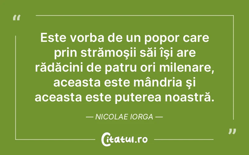 Citat Nicolae Iorga - citate motivationale