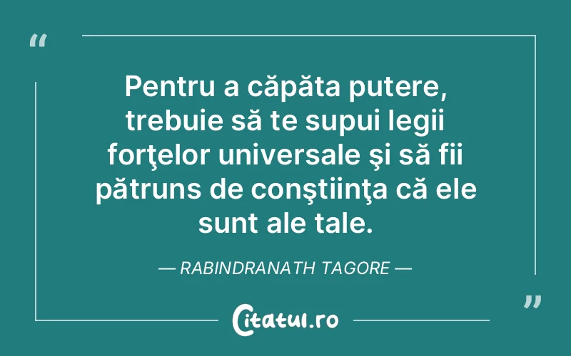 Citat Rabindranath Tagore - citate motivationale