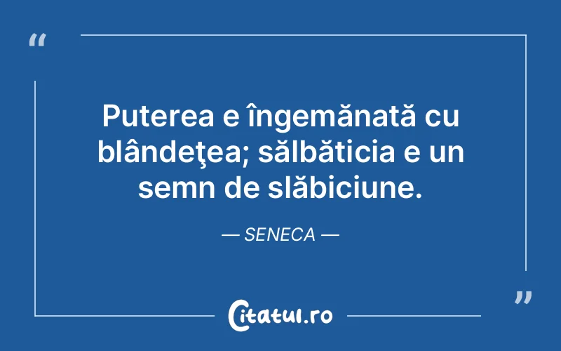 Citat Seneca - citate motivationale