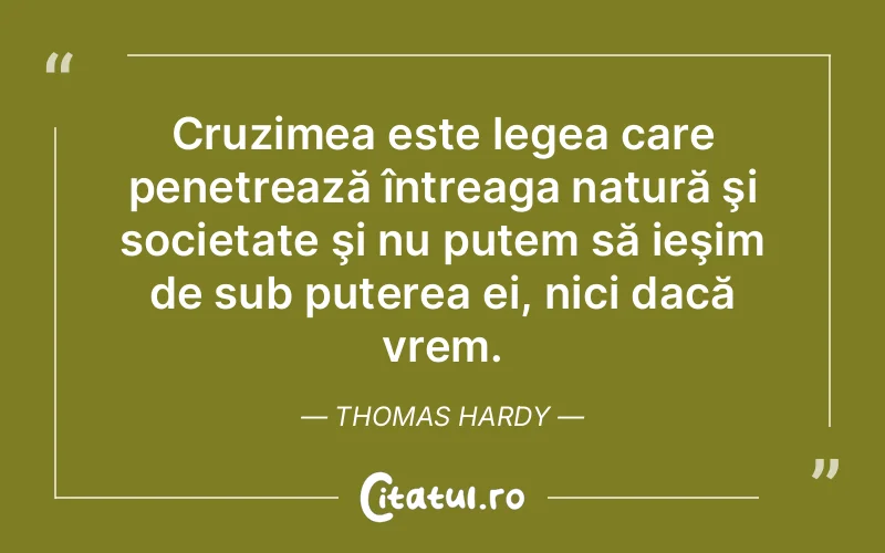 Citat Thomas Hardy - citate motivationale