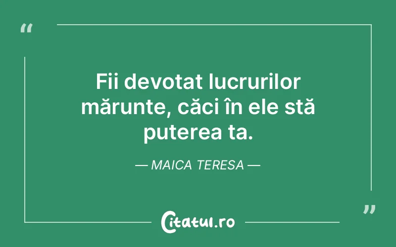 Fii devotat lucrurilor mărunte, căci în ele stă puterea ta. Maica Teresa