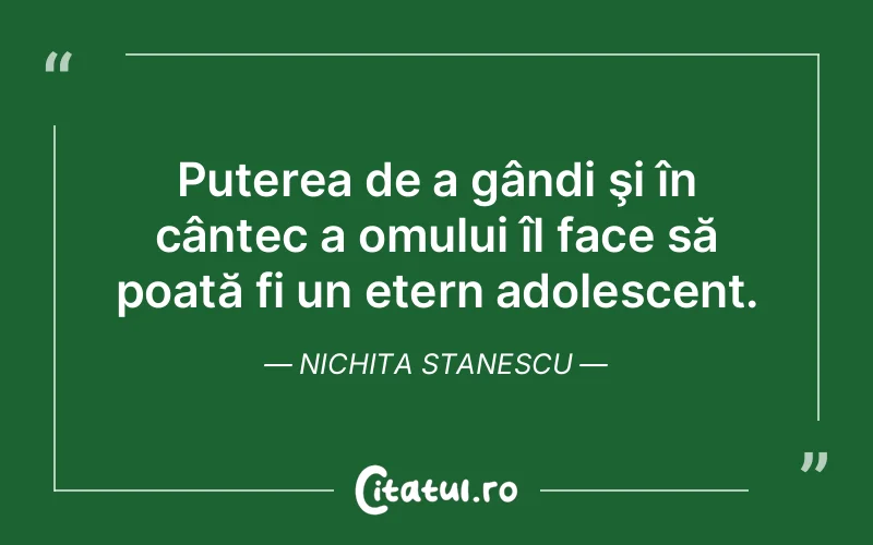 Citat Nichita Stanescu - citate motivationale