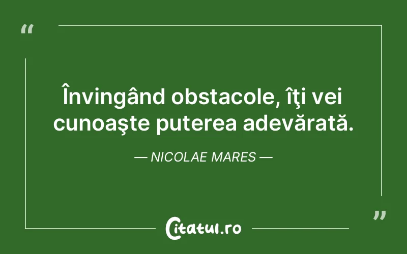 Citat Nicolae Mares - citate motivationale