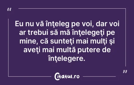 Eu nu vă înţeleg pe voi, dar voi ar t...