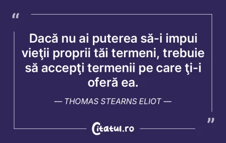 Dacă nu ai puterea să-i impui vieţii ... Dacă nu ai puterea să-i impui vieţii ...