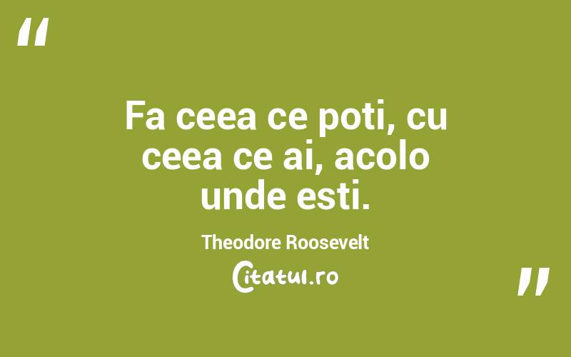 Fa ceea ce poti, cu ceea ce ai, acolo unde esti. Theodore Roosevelt