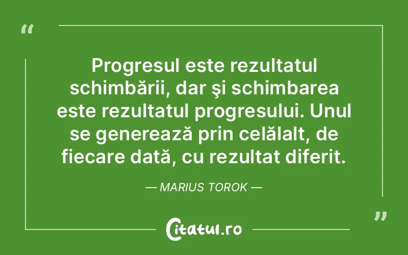 Citat Marius Torok - citate motivationale