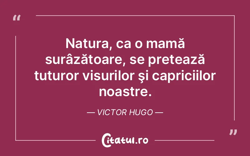 Citat Victor Hugo - citate motivationale