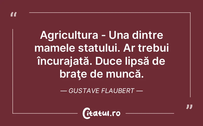 Citat Gustave Flaubert - citate motivationale