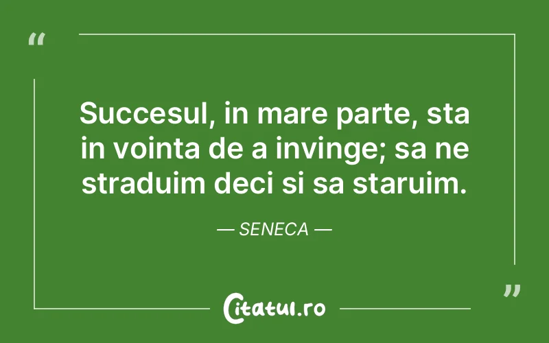 Citat Seneca - citate motivationale