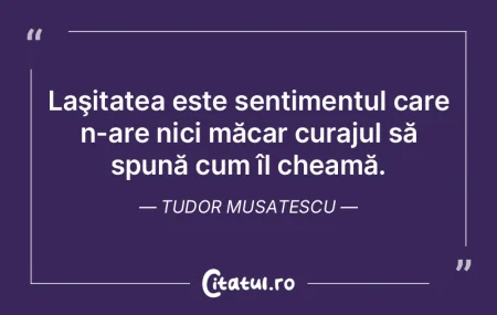 LaÅŸitatea este sentimentul care n-are n... LaÅŸitatea este sentimentul care n-are n...